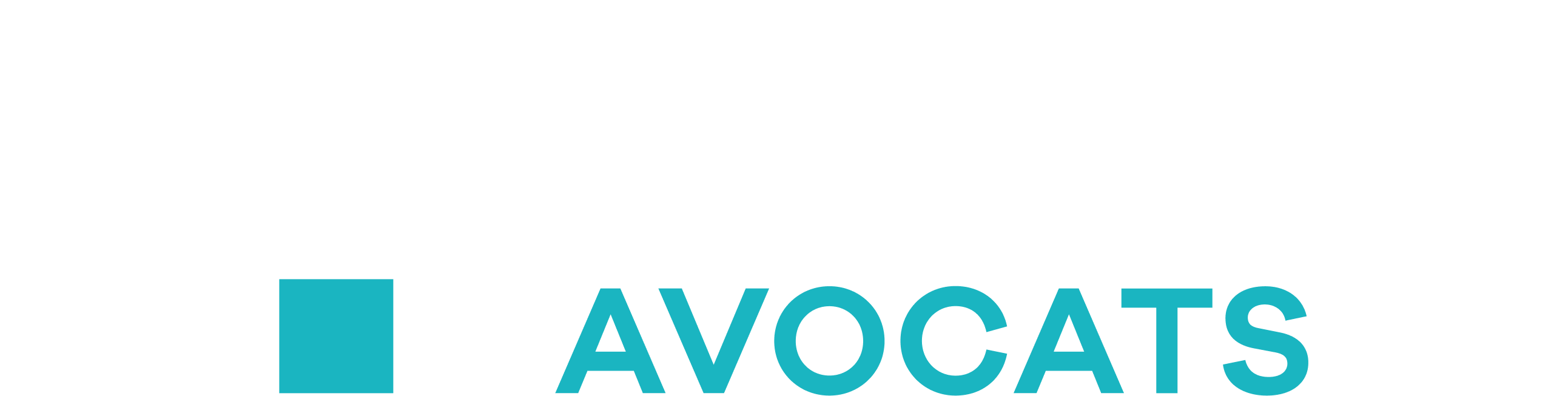 RENAUD AVOCATS